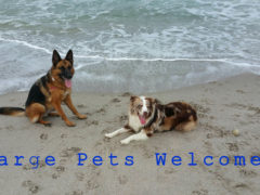 Hutchinson Island Pet Friendly Condos- Just Listed Ocean Bay Villas