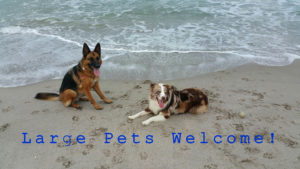 Ocean Village Real Estate News Ocean Village Real Estate News