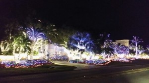 Christmas Lights Hutchinson Island 