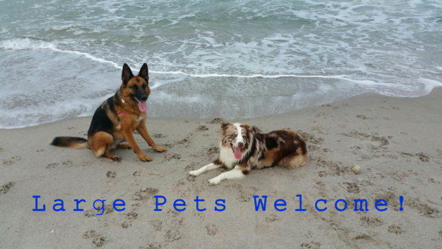 Hutchinson Island large pets welcome
